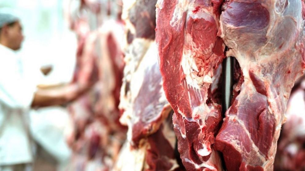 Boletín Oficial: Se oficializó la suspensión de exportación de carnes