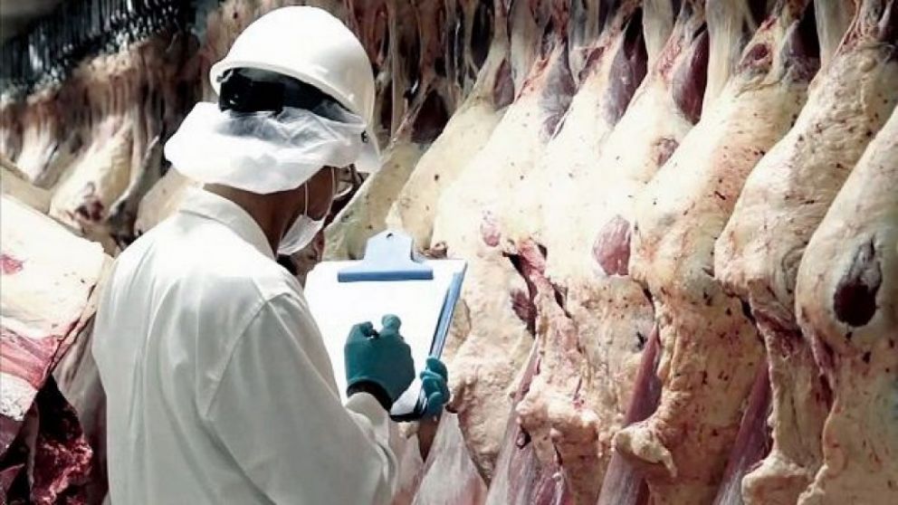 Exportaciones de carne: un conflicto de nunca acabar