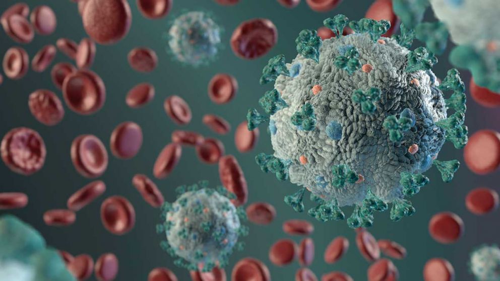 El método descubierto podría disminuir las réplicas del Covid-19 en las células infectadas