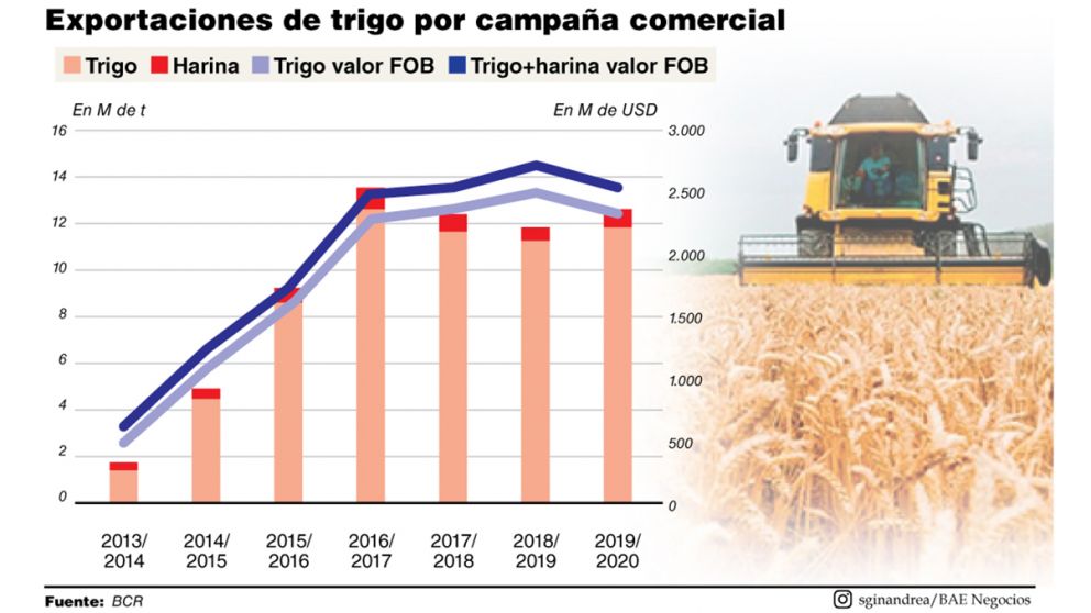 Trigo: por mejora en precios, las exportaciones serán récord