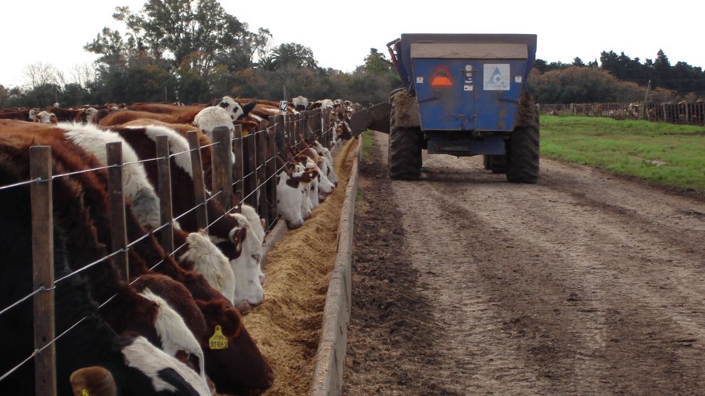 El encierre de abril fue de 62,5%