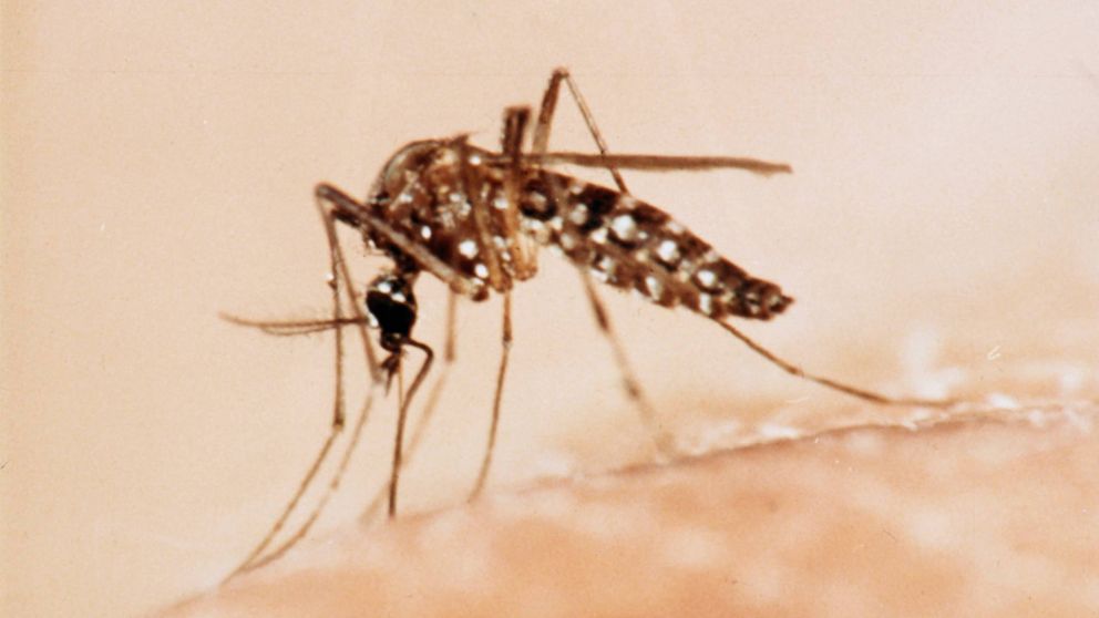 En Salta, una mujer falleció por una cepa más grave que el dengue