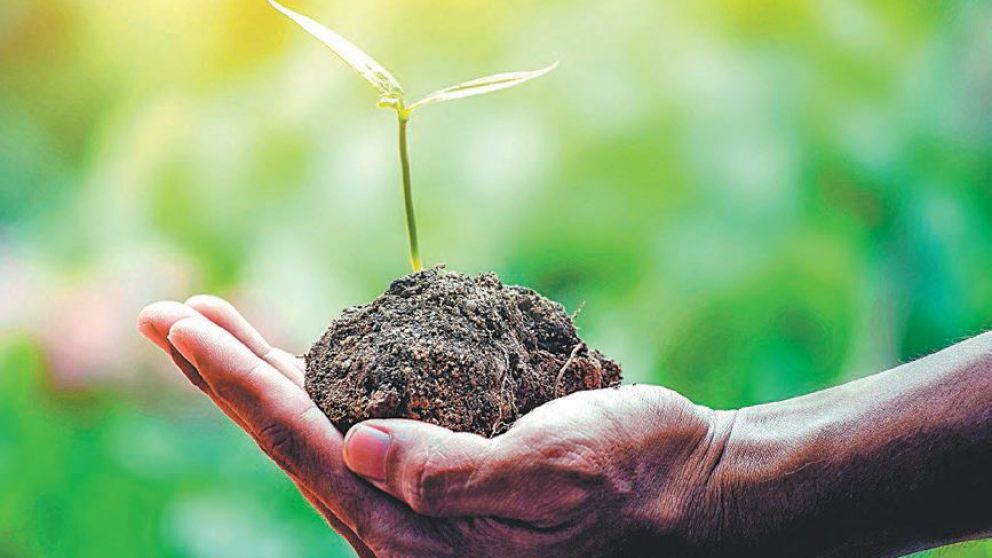 La grieta de la sustentabilidad entre empresas y consumidores