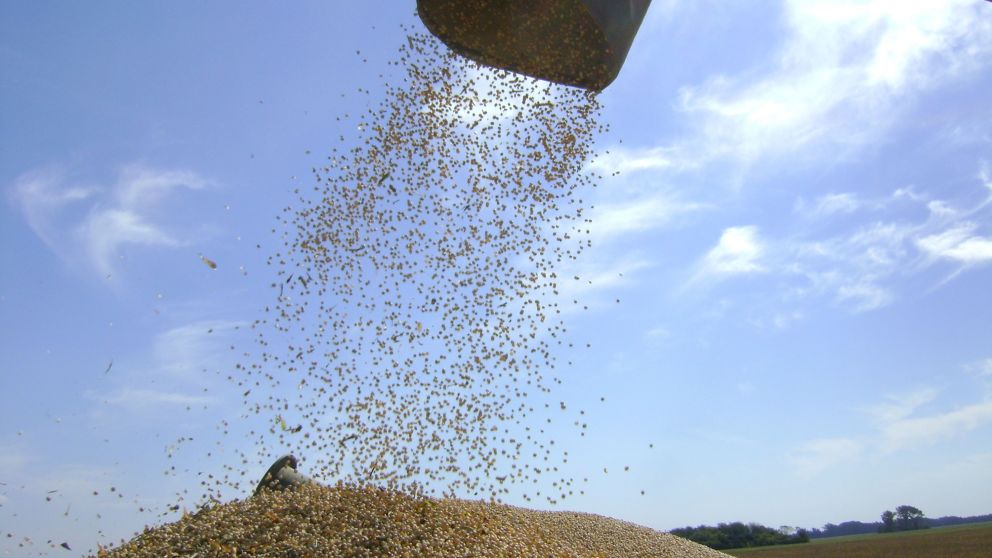 Los productores buscan asegurar precios