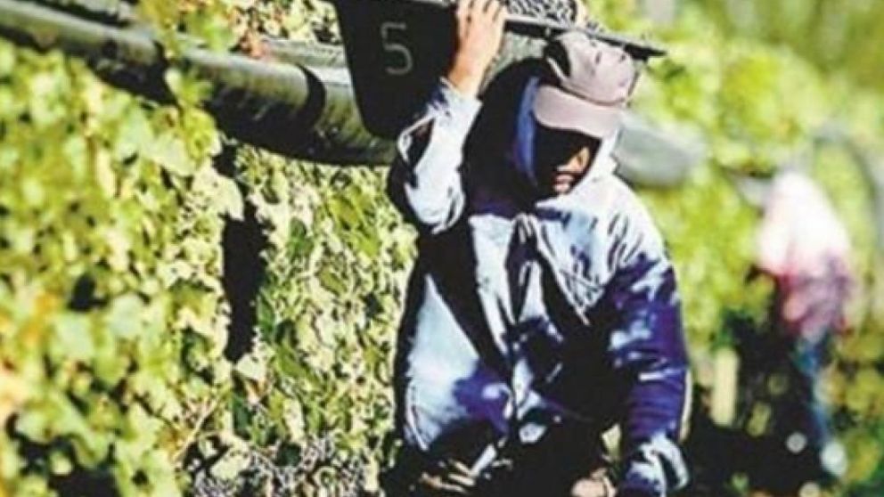 Sin perjuicio del 10% adicional con el cual el convenio llega a 57%, los delegados remarcan que el ingreso básico del sector es la cuestión a mejorar