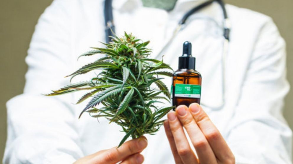 Cannabis medicinal: Autorizan la inscripción de variedades de semillas