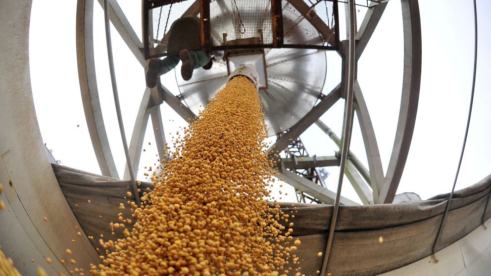 No hubo parate en toda la pandemia aseguran desde el gremio agroexportador