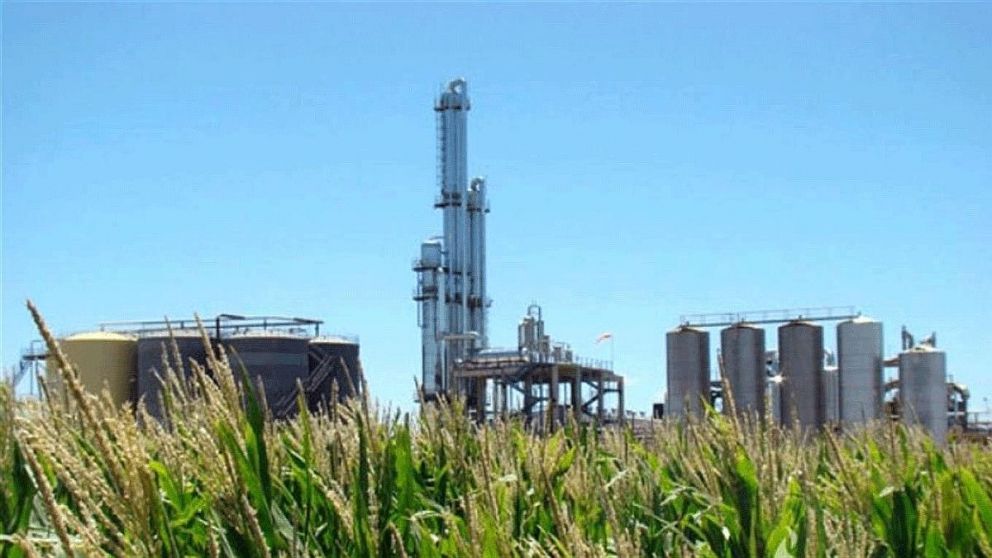 Hacia una nueva ley de biocombustibles