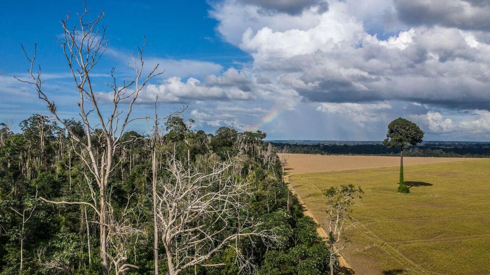 Bolsonaro reclama mil millones de dólares para cuidar el Amazonas