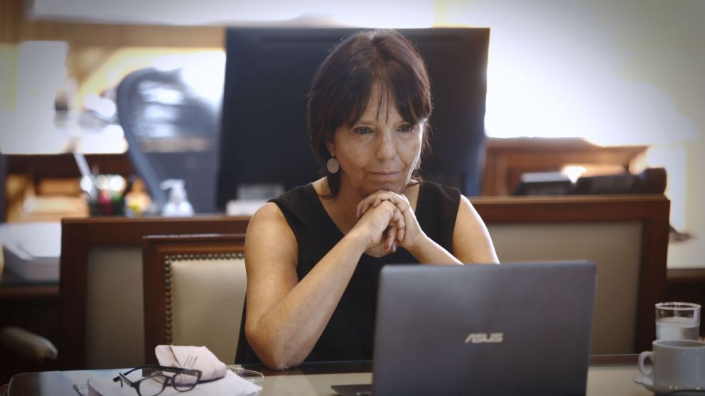 Marcó del Pont se quejó por la judicialización de los programas para fiscalizar la elusión