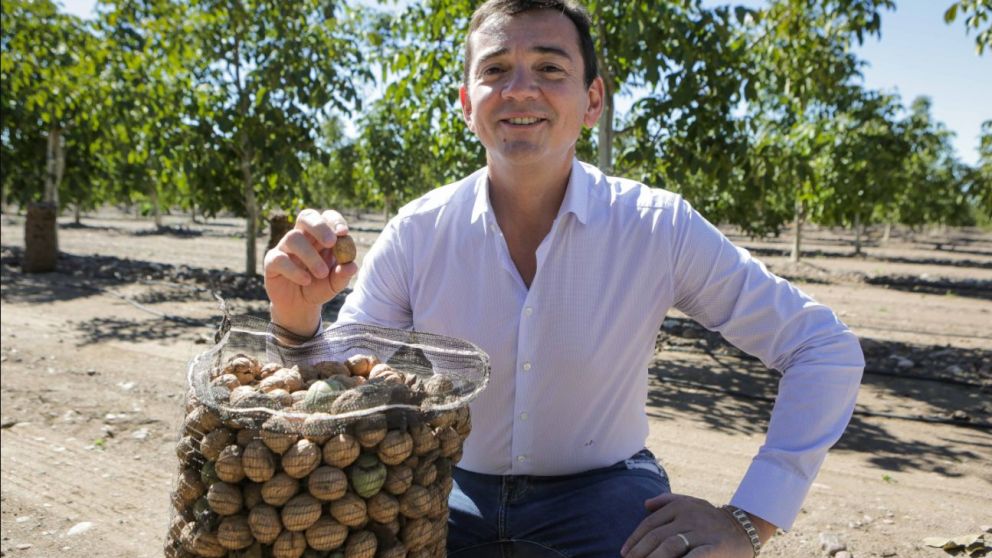 QNuts exportará 800 toneladas de nueces con cáscara en 2025