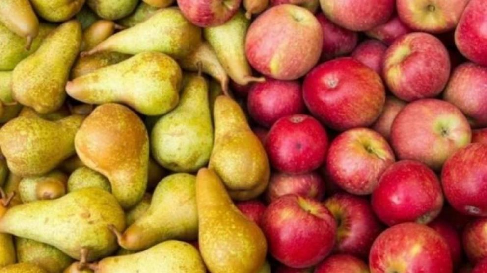 Peras y manzanas exportaron por 359 millones de dólares