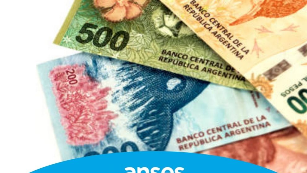 IFE 4 de Anses, ¿vuelve el bono de emergencia?