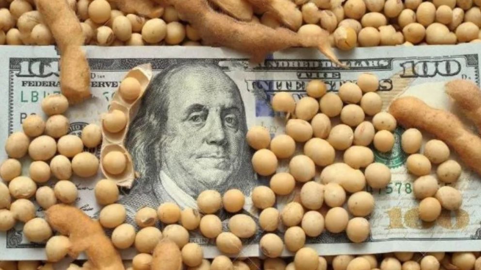 Esperan que las exportaciones del complejo sojero pasen por primera vez los 20.000 millones de d�lares