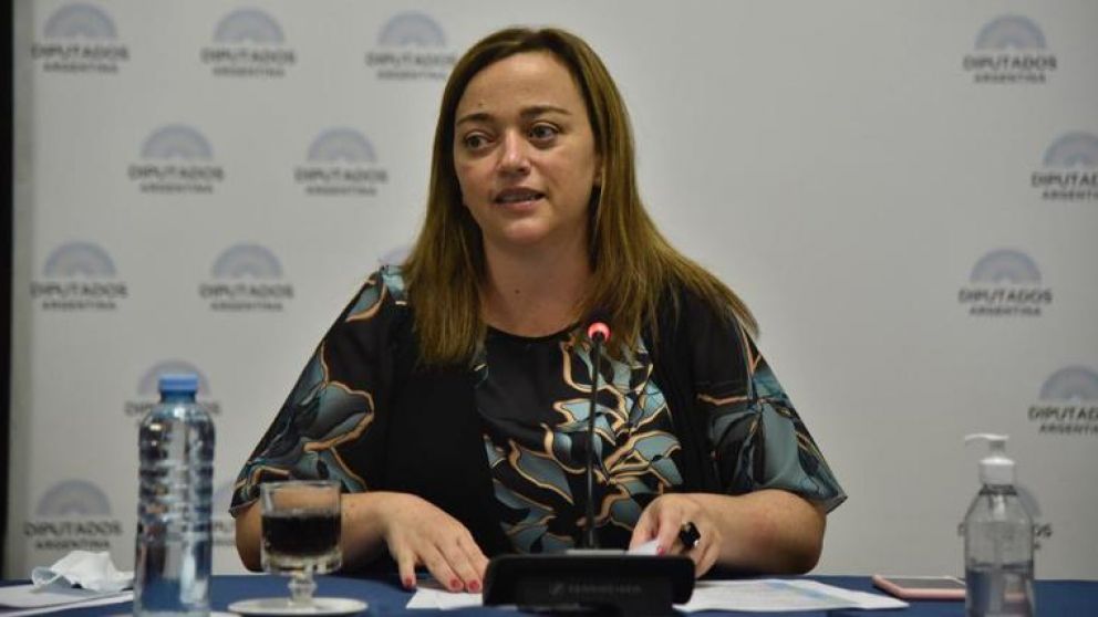 Cecilia Moreau presidió el debate en el plenario