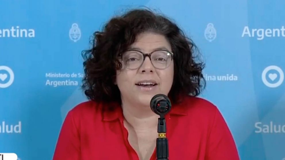 Con el debate de las PASO de fondo, Carla Vizzotti expone en Diputados