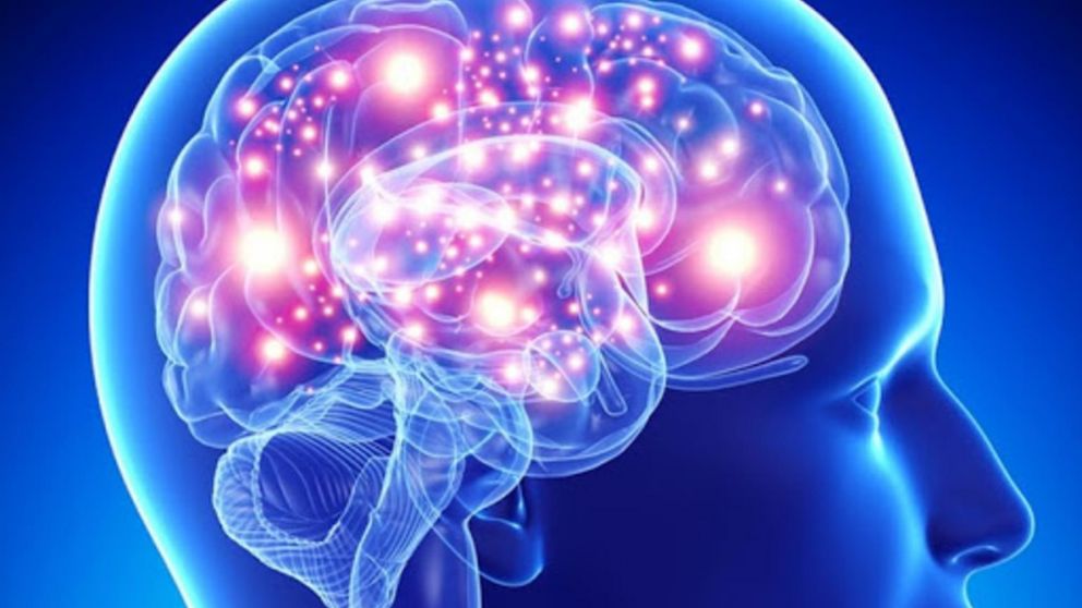 Los científicos lograron reemplazar los cables por un pequeño transmisor de unos 40 gramos que se coloca en la parte superior de la cabeza