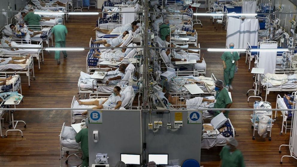 Las características de la cepa de Manaos