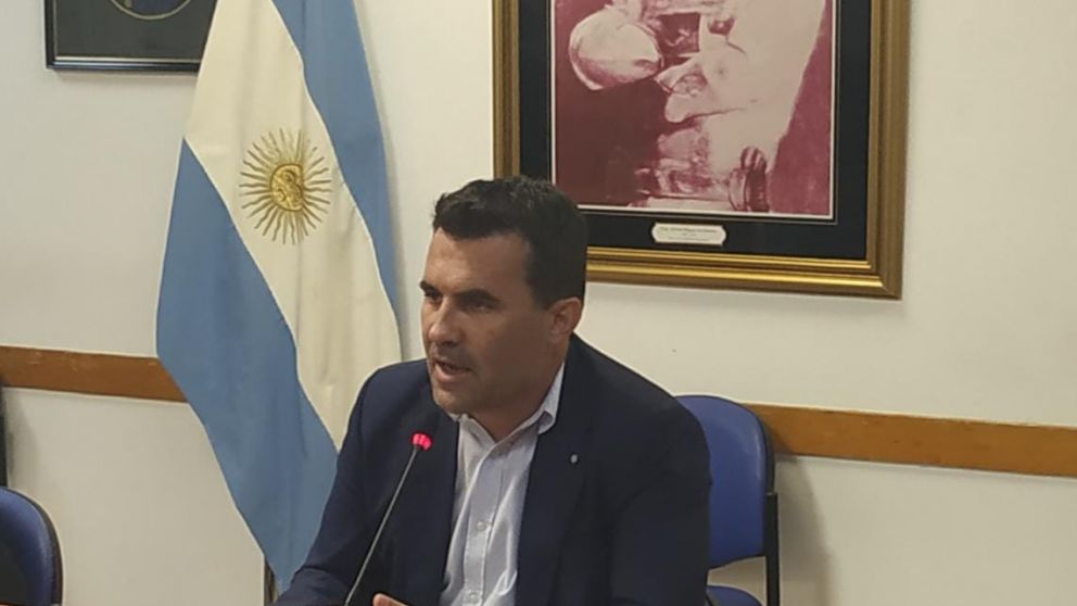 Darío Martínez, durante la exposición en Diputados