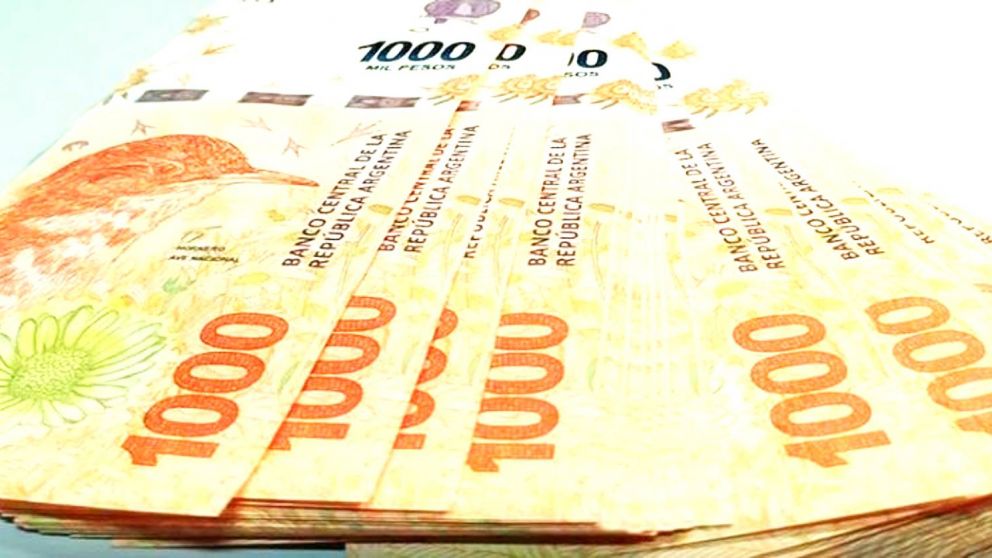 El Programa Repro II incluye criterios de selección para acceder al beneficio