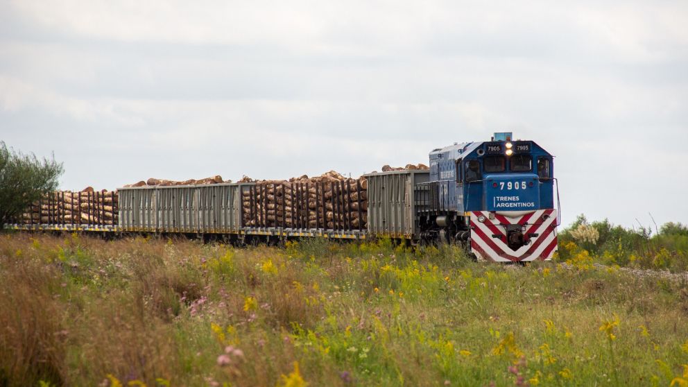 El plan de Modernización del Transporte Ferroviario apunta a generar empleo y potenciar las economías regionales