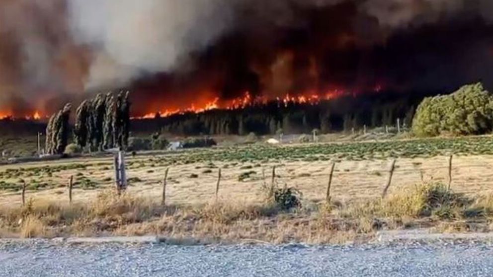 El Ministerio de Salud enviará en la semana a la Patagonia partidas de vacunas contra el Covid-19