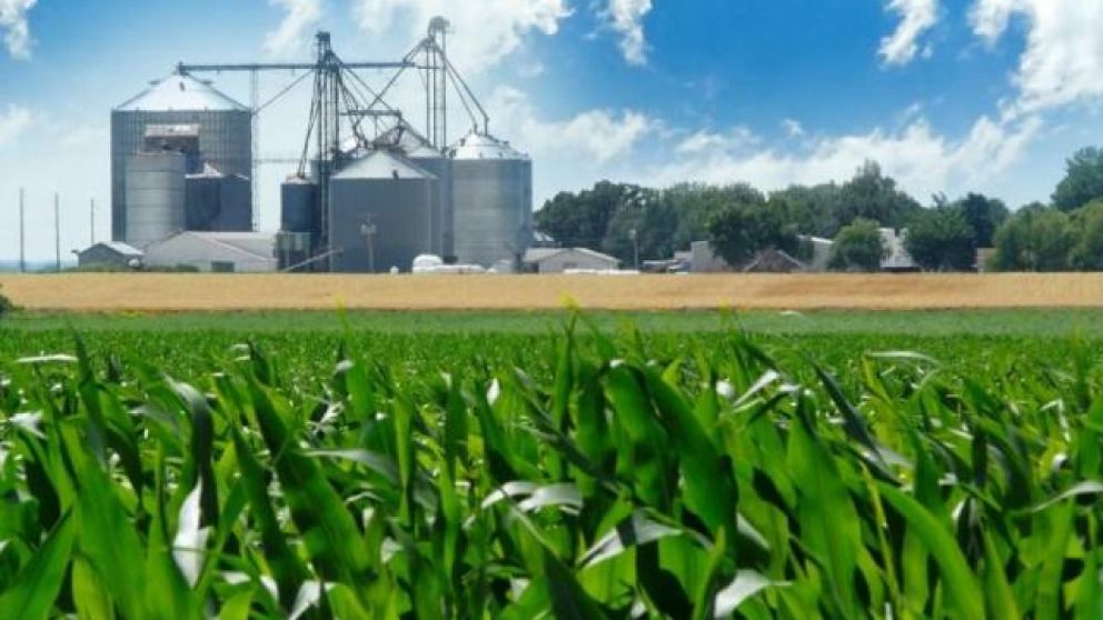 Ha sido una industria que ha ahorrado divisas, evitando la importación de combustibles, y generado divisas en los momentos en que hemos exportado biodiesel