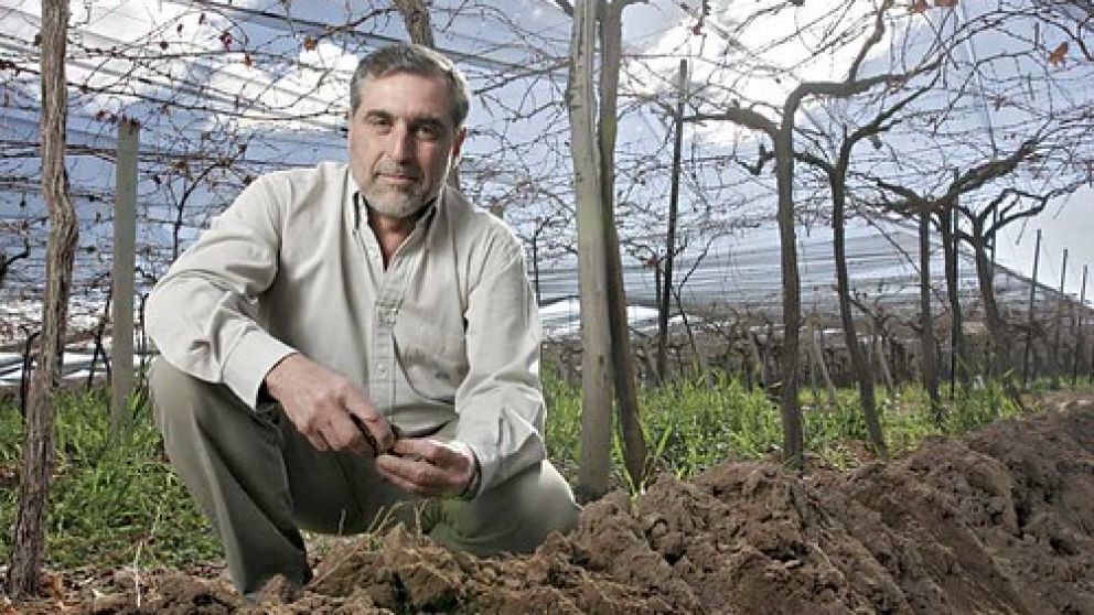 José Alberto Zuccardi sus bodegas crecieron en la pandemia