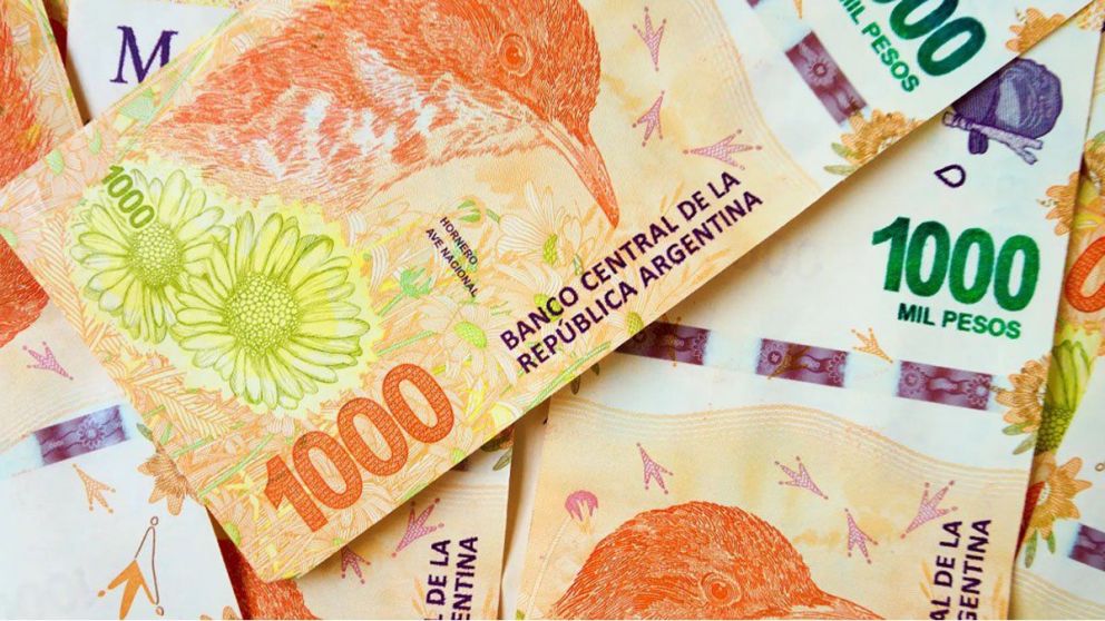 Anses: calendario de pagos de febrero de 2021