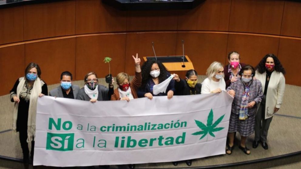 Senadores celebraron la media sanción de la ley