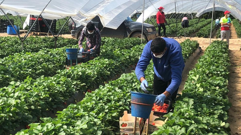 La administración Trump había aprobado aranceles por valor de 7.500 millones de dólares a las exportaciones de la UE a EEUU