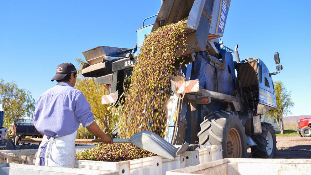 Los trabajadores/as en la producción de aceites vegetales un rubro de empleo a salvo de la dispersión salarial