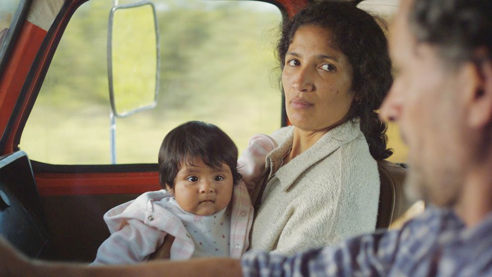 El Festival de Mar del Plata, todo el año desde casa
