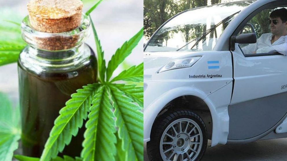 Cannabis y autos eléctricos, las nuevas apuestas del Gobierno