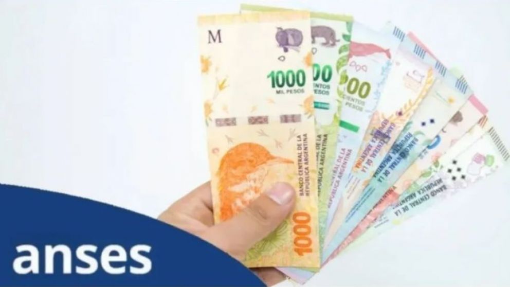 Aumento Anses de marzo
