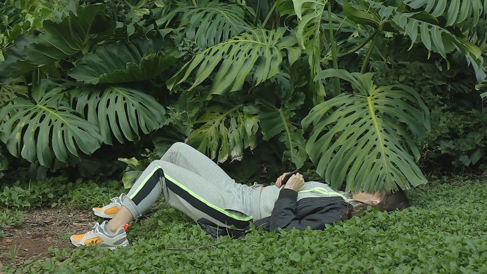 Obras de teatro site specific en el jardín botánico
