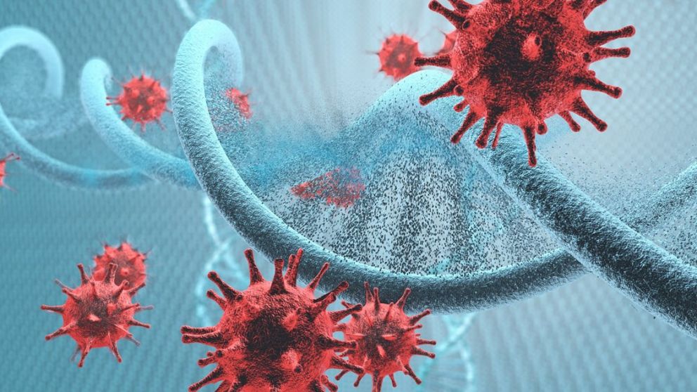 El ser humano vive rodeado de virus y se mantiene vivo gracias a ellos