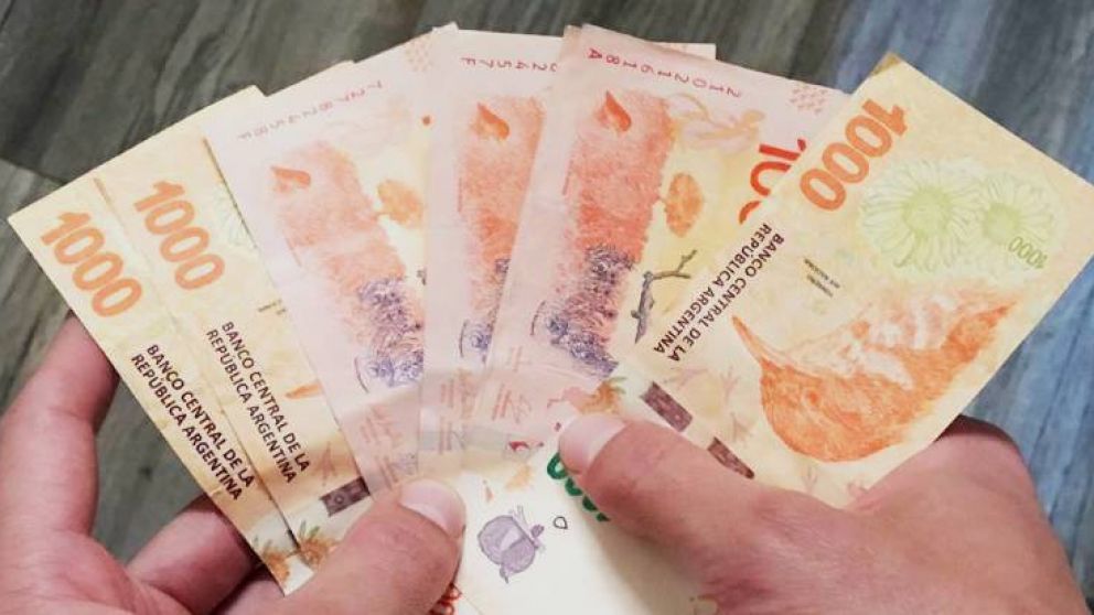 El pago se realizará a través de Anses