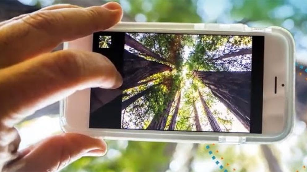 Movistar elabora productos y promueve iniciativas para que sus clientes puedan elegir reducir su impacto y sumarse al reto de la economía ambiental circular