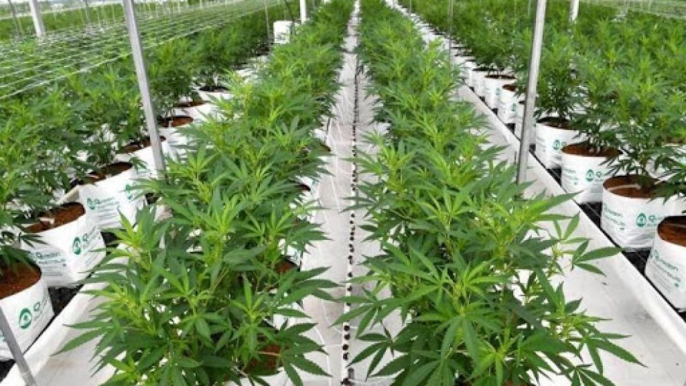 Argentina y Brasil quieren exportar a la región