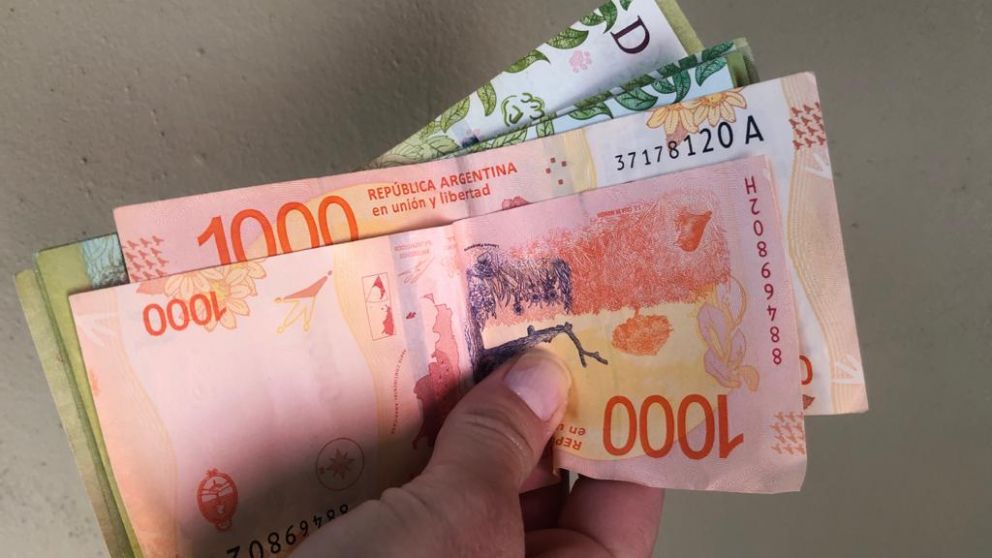 IFE 4 o Ingreso B�sico: a qui�nes incluir�a el pago de Anses