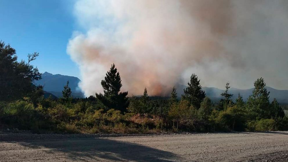 Frente a los incendios sufridos en El Bols�n, R�o Negro decreto estado de emergencia 