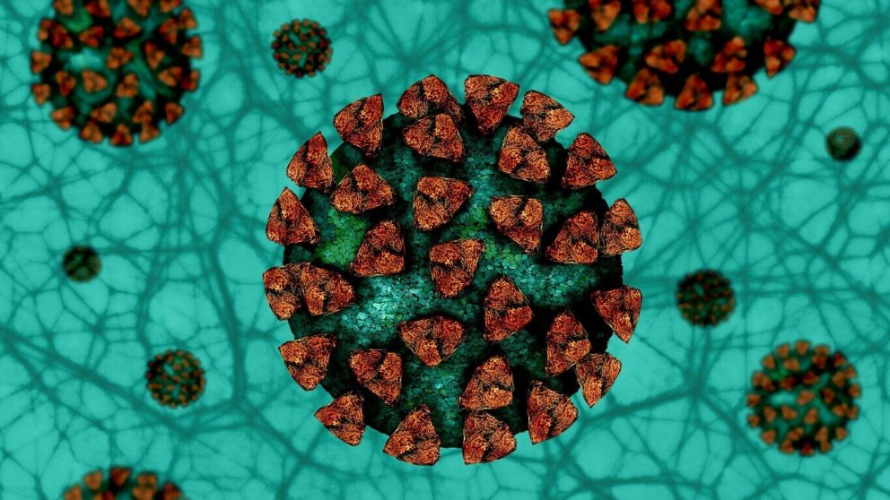 Finlandia registra más de 230 casos de mutaciones británica y sudafricana del coronavirus
