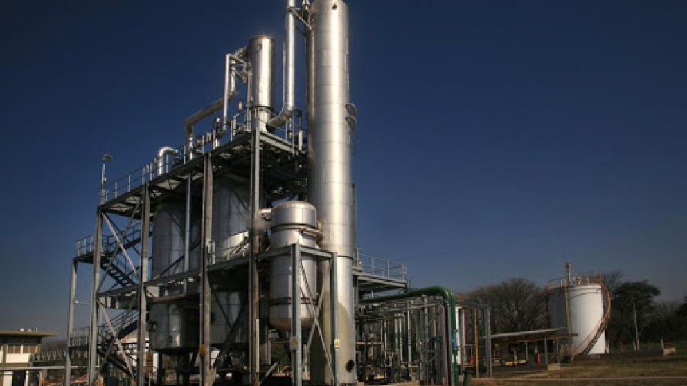 El sector del azúcar vinculado al bioetanol genera 60.900 empleos directos