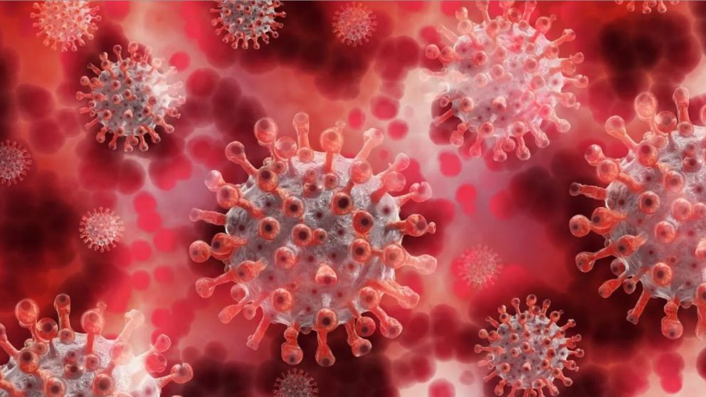 La nueva cepa del coronavirus es distinta en cada país
