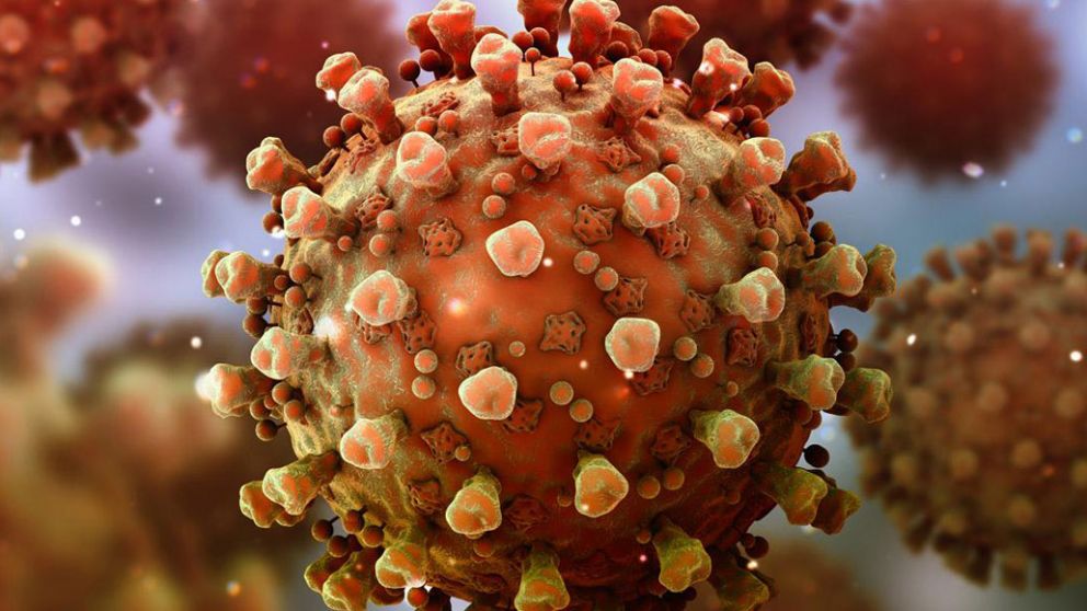 Reino Unido prepara una "biblioteca" de todas las variantes del coronavirus