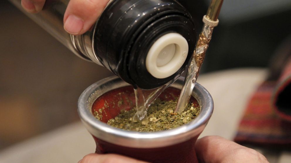 Yerba mate: durante pandemia la exportación aumentó 7,7%