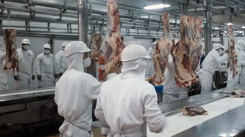 Carne: aumento anual de 38% en los salarios de empleados 