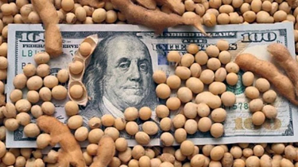El BCRA prepara una medida para agilizar la liquidación de granos