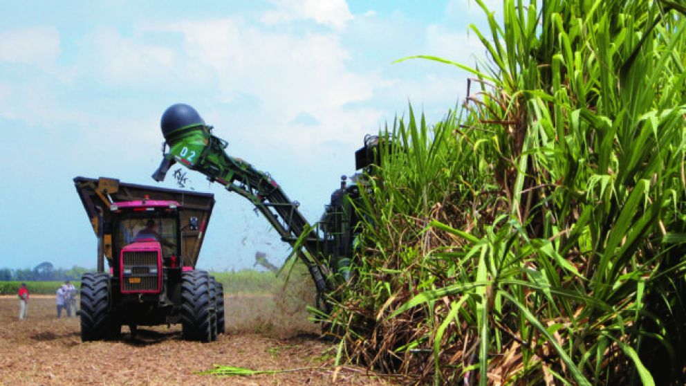 Biocombustibles: una herramienta para capitalizar el futuro
